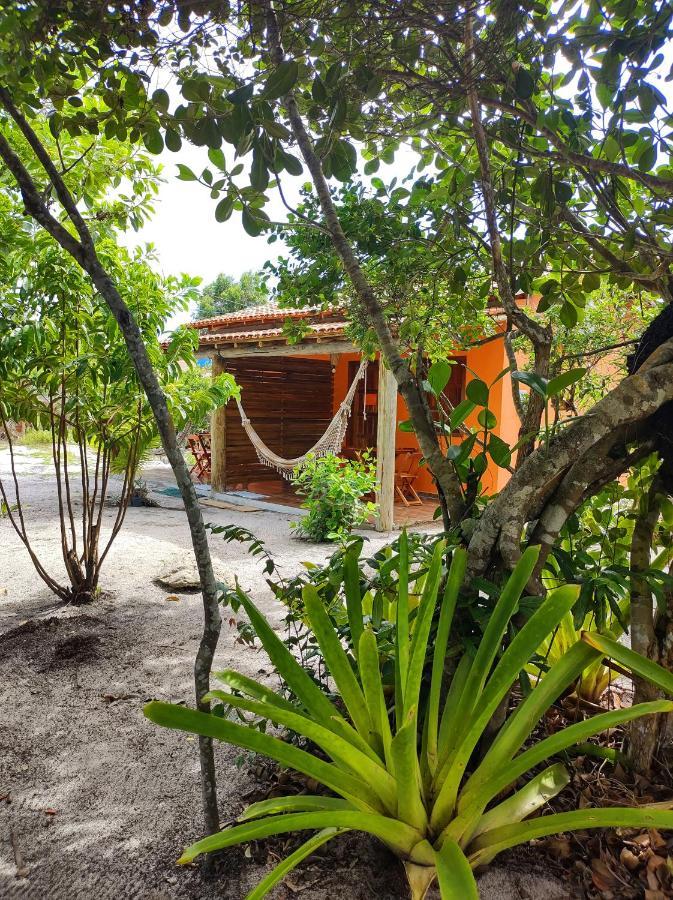 Pousada Quintal Dos Sonhos Xando Caraíva Exterior foto