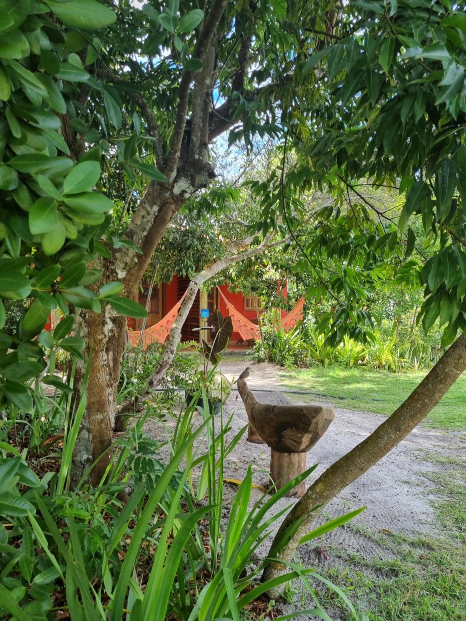Pousada Quintal Dos Sonhos Xando Caraíva Exterior foto